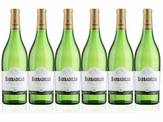 Barbadillo Castillo de San Diego | Vino Blanco Seco con Indicación Geográfica Protegida - Caja 6 x 75 cl