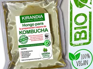 BEBÉ KOMBUCHA FRESCO, SCOBY KOMBUCHA - Con Registro Sanitario (RGSEAA) - Elabora Tu Propio Té de Kombucha Biológico en Casa