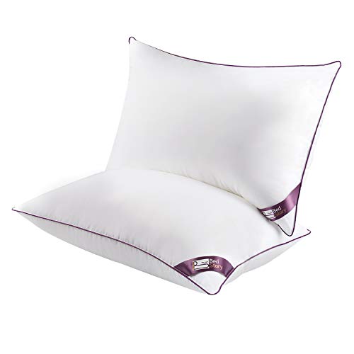 BedStory Almohadas Fibra Almohada de 50 x 75cm con Relleno 3D Fibra Mantiene la Forma Almohadas Antiácaros para de Cama Almohadas para Hoteles【Nueva Versión】 Pack de 2 Púrpura