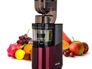 Bio Chef Atlas Whole Slow Juicer Pro – Extractor de zumos, 350W, 40 RPM, Licuadora Prensado en Frío. Garantía de por Vida en el Motor. (Burdeos)