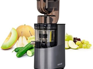 Bio Chef Atlas Whole Slow Juicer Pro – Extractor de zumos, 350W, 40 RPM, Licuadora Prensado en Frío. Garantía de por Vida en el Motor. (Plata)