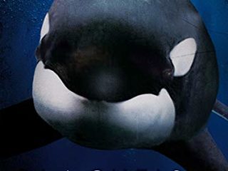Blackfish