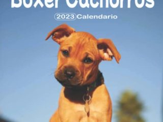 Boxer Cachorros Calendario: Calendario 2023 - 8.5''x8.5'' - Regalos para familiares y amigas amigos