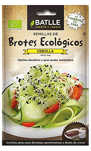BROTES CEBOLLA - ECO