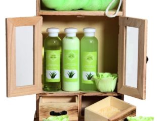 BRUBAKER Cosmetics Set de Regalo de Baño - Aloe vera - Armario en Madera (10 piezas)