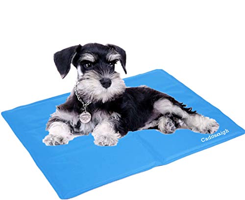 Cadosoigh Alfombra de Refrigeración Animales Nevera y Manta para Perro Fresco Cojín Azul Nevera Techo Camas de Suelo Couch Zwinger Auto(65 * 50 CM)