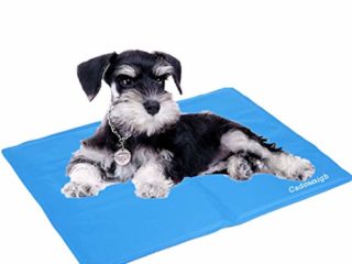 Cadosoigh Alfombra de Refrigeración Animales Nevera y Manta para Perro Fresco Cojín Azul Nevera Techo Camas de Suelo Couch Zwinger Auto(65 * 50 CM)
