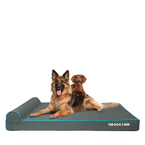 Cama ortopédica para perros The Dog's Bed XXL gris con ribete azul, 137 x 91 x 10 cm, cama para perro de espuma viscoelástica impermeable de alta calidad