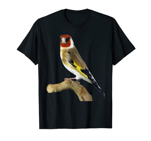 Camiseta de Jilguero | Bonito Regalo Amantes de Jilqueros Camiseta