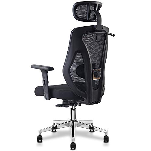 Cedric Silla de Oficina ergonómica con Soporte Lumbar,Cojines de Asiento Blandos Silla de Escritorio de Malla con reposacabezas Ajustable,Reposabrazos 3D,Función de inclinación-Certificación EN1335