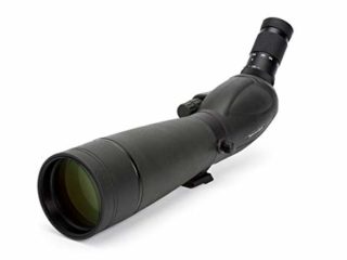 Celestron 52335 TrailSeeker 100 - Punto Recto (Negro)