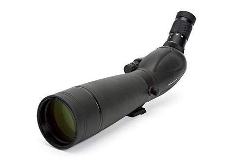 Celestron 52335 TrailSeeker 100 - Punto Recto (Negro)