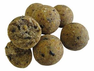 CHUFA & CÁÑAMO 20mm Boilies 10, 0 kg / Sabor Scopex