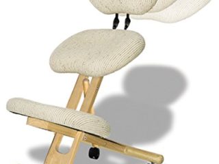 cinius Silla ergonómica Profesional Color Crema con Respaldo
