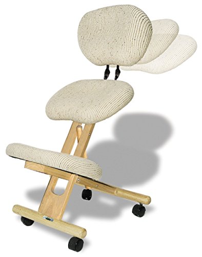 cinius Silla ergonómica Profesional Color Crema con Respaldo