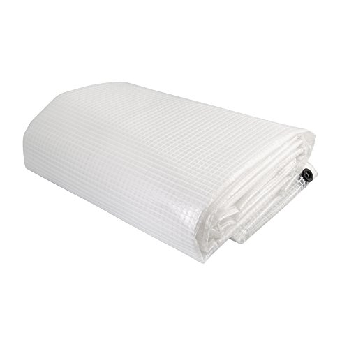 Cogex 82673 - Lona reforzada (160 g, 4 x 5 m), transparente