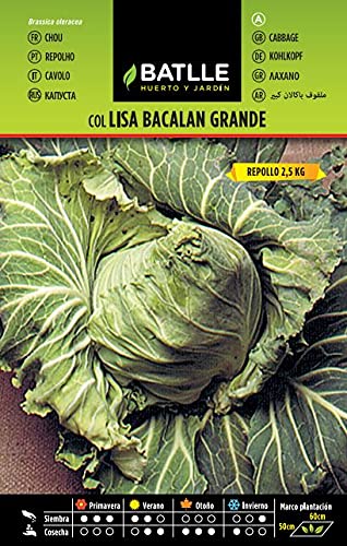 Col BACALAN grande