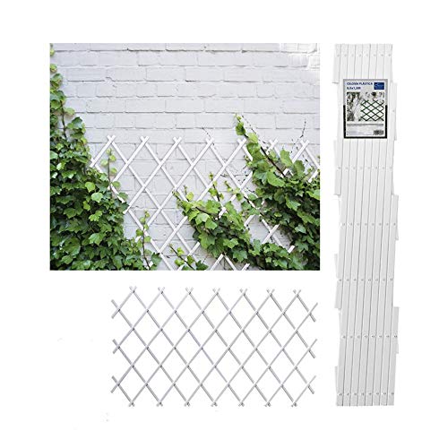 Comercial Candela Celosia Extensible Plastica Color (0.5x1.5 Metros, Blanca)