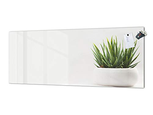 Concept Crystal Salpicadero de Vidrio Templado con Impresiones artísticas - salpicadero de Vidrio de Pared Revestido de Acero MBBS04C