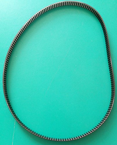 Correa de repuesto para máquina de pan de 570 mm x 8,00 mm
