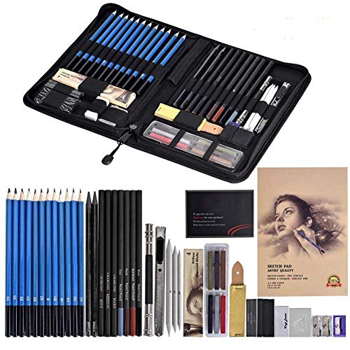 Cozywind Lapices Dibujo Artístico Bosquejo Material Set,Incluye Lápices Pastel,Grafito,Carboncillos,Bloc,Caja Portátil (49)