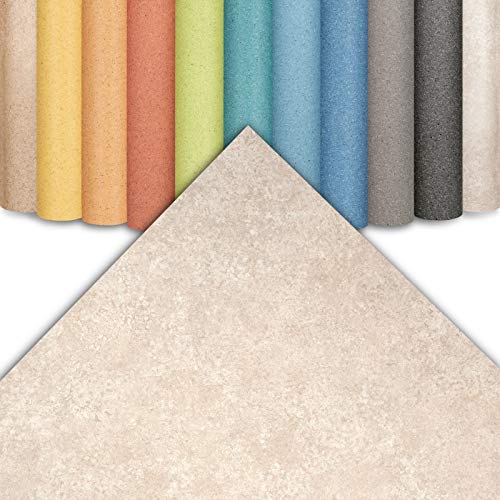 CV Xtreme – Suelo de PVC resistente a la abrasión – muchos colores (200 x 600 cm, Atlantic | Charlotte Creme 0195)