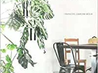DECORAR CON PLANTAS