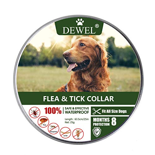 DEWEL Collar Antiparasitos para Perro,Gato Pequeño Mediano Grandes contra Pulgas, Garrapatas y Mosquitos, 8 Meses(para Perros)