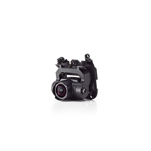 DJI FPV - Cámara con estabilizador, cámara Compatible con el dron DJI FPV, vídeo 4K, Lente Ultra Gran Angular de 150°, Disparo dinámico
