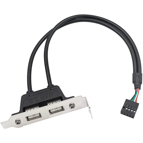 Duttek Dupont Cable de 9 pines a USB 2.0, conector hembra de 9 pines a doble USB 2.0 hembra adaptador de placa base USB cable de extensión externo con panel de soporte 30 cm/11.80 pulgadas