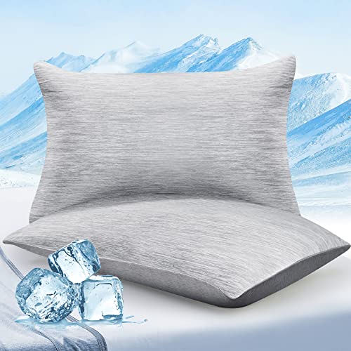 Elegear Funda de Almohada de Refrescantes de 2, Q-MAX 0,4 ARC-Chill Japonés Fibra de Enfriamiento, Funda Protege Almohada Suaves Transpirables con Cremallera Oculta (Gris,50 * 75cm)