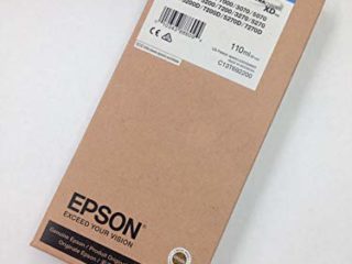 Epson C13T692200 - Cartucho de tinta, cian, Ya disponible en Amazon Dash Replenishment