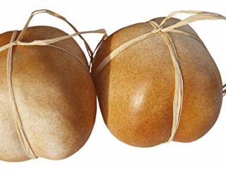 ERRO Juego de 2 queso de búfalo marrón – 10316 – Queso falso de queso decorativo imitación de alimentos