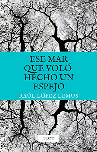 Ese mar que voló hecho un espejo