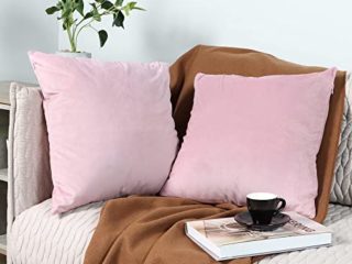 ESIPOSS Fundas de cojín, Fundas de cojín de Terciopelo, Fundas de Almohada cuadradas Suaves con Cremallera Invisible, decoración del hogar, 45 x 45 cm, para Sala de Estar, sofá, Dormitorio (Rosa)