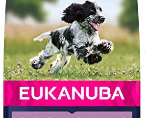 Eukanuba Alimento seco para cachorros de raza mediana, rico en pollo fresco 15 kg