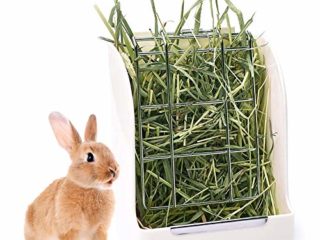 falllea Heno Alimentador Comedero para Conejo Alimentador de Heno para Conejillo Alimentador Hierba Estante del Alimentador de Heno Alimentador para Conejillo Dispensador de Alimentos (Blanco)