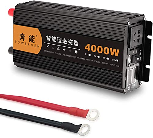 FGDFGDG Reiner Sinus Inverter Transformer DC 12V / 24V en convertidor AC 220V - Convertidor de inversor,4000w,24V