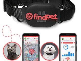 findPet Localizador GPS para Gatos y Perros [Mini]. Muy Ligero sólo 20gr. Collar GPS para Perros y Gatos con Ubicación en Tiempo Real y Seguimiento de Actividad 24h