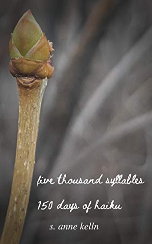 Five Thousand Syllables: 150 Days of Haiku (English Edition)