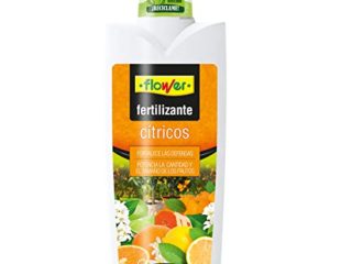 Flower 10731 - Abono líquido cítricos, 1000 ml