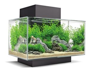 Fluval Acuarios 1 Unidad 250 g