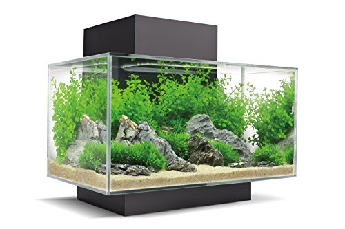 Fluval Acuarios 1 Unidad 250 g