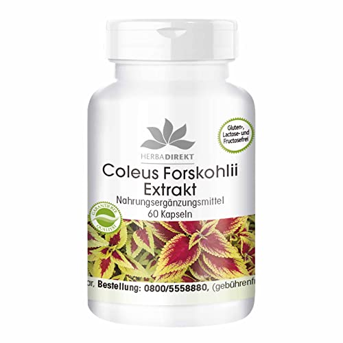 Forskolina 10mg – Extracto de Coleus Forskohlii – 60 cápsulas