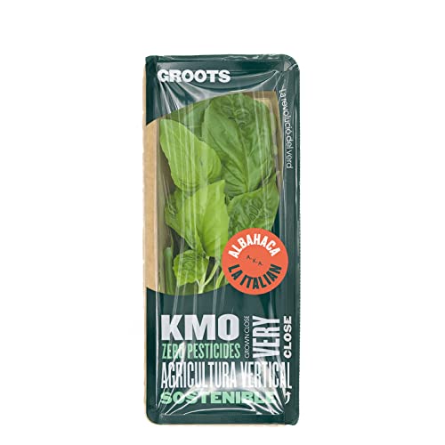 Groots | Pack Albahaca Fresca | 30 g | Imprescindible para Pesto, Ensaladas, Pizzas y Pastas | Cultivo Vertical sin Tierra | Hierba Aromática | Sin Pesticidas
