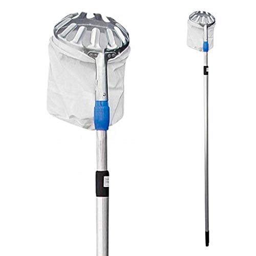 Grouw 74989 Recogedor de Frutas Telescopico Extensible de 130-240cm, Colores Surtidos