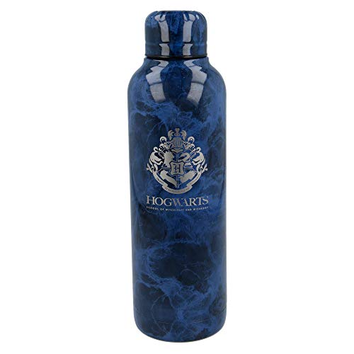 Harry Potter | Botella De Agua Reutilizable De Acero Inoxidable | Botella Termo Con Doble Aislamiento Para 12 Horas De Bebida Caliente Y 18 Horas De Bebida Fría - Libre Bpa - 515 Ml