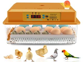 Hethya Incubadora automática de huevo, incubadora de pollos para el hogar, controlador de la granja, 16 – 36 huevos (orange-16)
