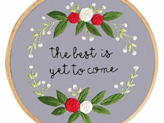 HHTC DIY Bordado Plantas Trabajo Hecho a Mano de la Costura for Principiantes Kit de Punto de Cruz Cinta Pintura Bastidor de Bordado Decoraciones caseras (Color : 1)