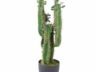 Hoja 75 cm Premium Cactus Artificial con Olla